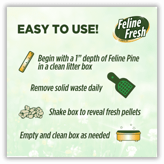 Feline pine litter walmart deals