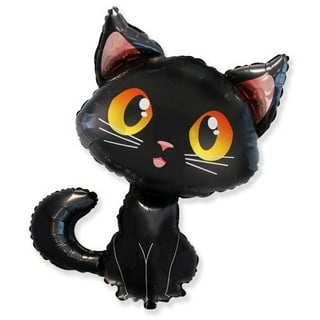 Black Cute Soggy Cat after a Bath, Funny Angry Little Demon. Pet Care Stock  Photo