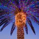 thumbnail image 1 of Full Sky Star String Lights IP64 impermeable 8 modos para decoración de árbol de Navidad DIY, 1 of 8