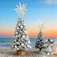 thumbnail image 4 of Sinkoo Natural Starfish Christmas Tree Topper, 6 Inch Starfish Treetop Coastal Christmas Holiday Decoration for Sea Nautical Beach Themed Xmas Decor, 4 of 8