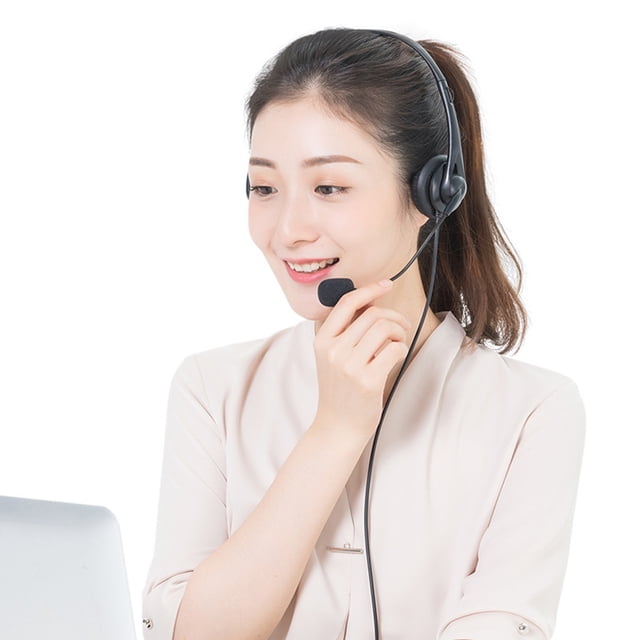 Birdeem Headphones for Computer, Headphones Wired Headsets Office Online Classes Business Meetings Headphones Computers Mobile Phones Headsets, Headset for Computer, Wired Headphones with Mic