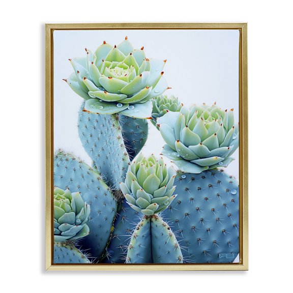 Stupell Industries Contemporary Cactus with Succulent Blooms Gold Floating Frame Canvas Art, 25 x 31, by RB