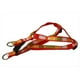 Sassy Dog Wear STRIPE-ORANGE-MULTI1-H Multi Stripe Harnais pour Chien - Orange - Extra Small – image 1 sur 1