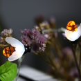 thumbnail image 6 of LINLIN Honeybee String Lights,LED Bee Shaped Fairy Lights,Battery Operated Bright Flash Bee String Light Garden Party Decoration Lighting, 6 of 7