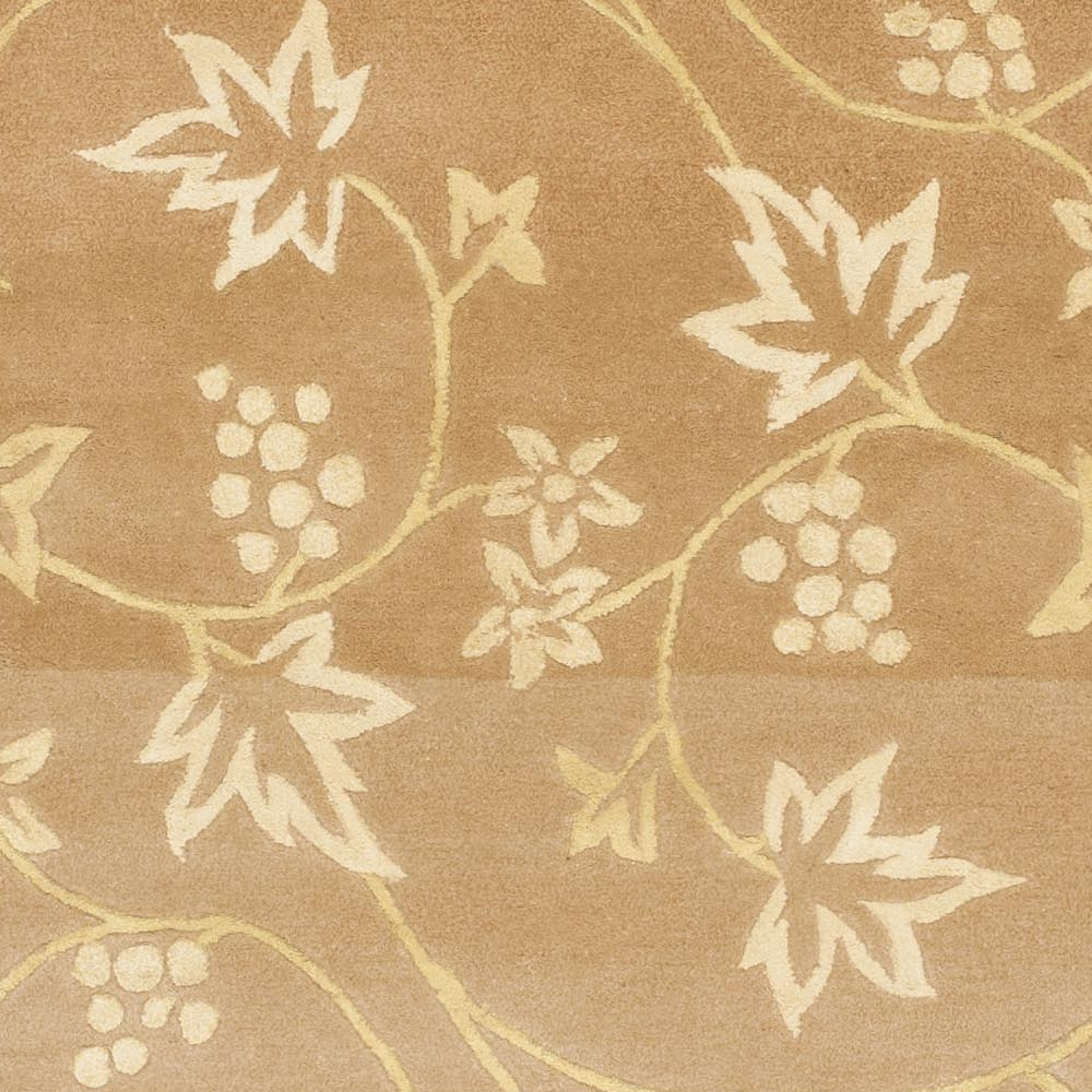 Safavieh French Tapis Gladys Floral Area Rug or Runner
