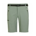 thumbnail image 1 of Regatta Mens Xert III Stretch Shorts, 1 of 3