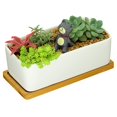 thumbnail image 5 of Platillo de bambú para plantas, miniplato rectangular de bambú para macetas, bandeja para jardineras de bonsái, platillo de drenaje de bambú para plantas del hogar, 5 of 5
