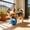 Blue, variant on Small Tough Rubber Squeaky Dog Ball Toy Bounce Chew Fetch for Small Medium Dogs Puppy Interactive Outdoor Play
