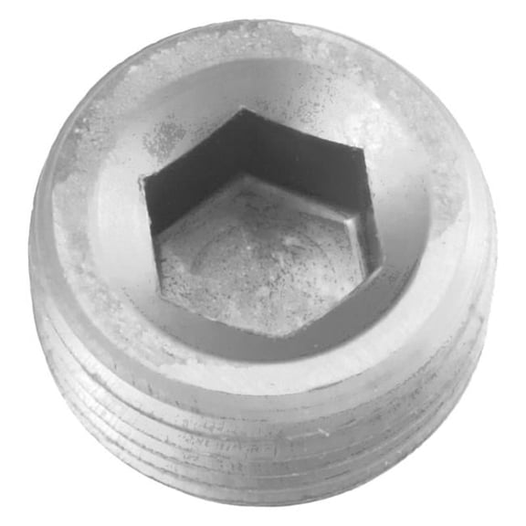04AN NPT Socket Head Pipe Plug, Clear - Pack of 2