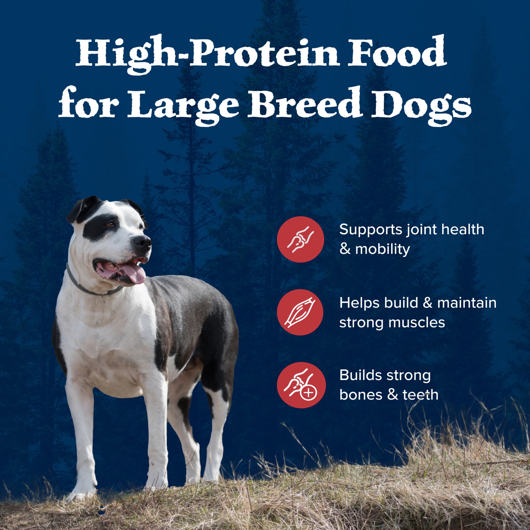 Blue Buffalo Wilderness Adult Large Breed Dry Dog Food, Red Meat & Whole Grains, 24-lbs.