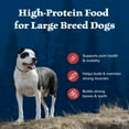 thumbnail image 5 of Blue Buffalo Wilderness Adult Large Breed Dry Dog Food, Red Meat & Whole Grains, 24-lbs., 5 of 12