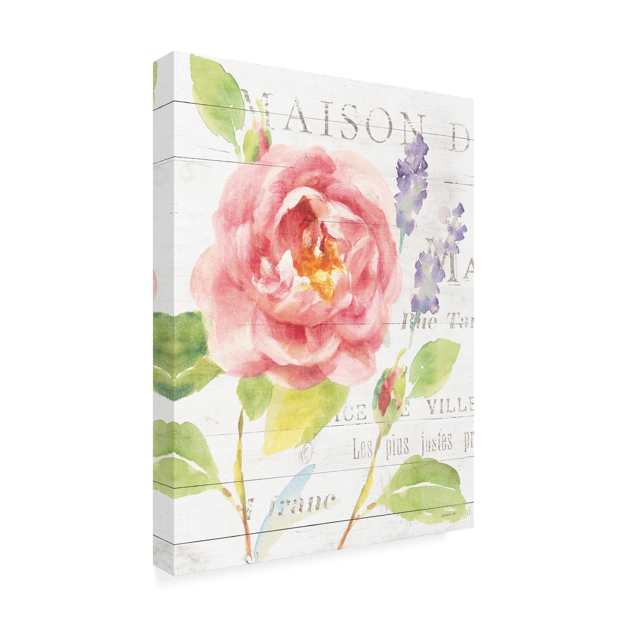 Maison Des Fleurs III' Canvas Art by Danhui Nai