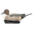 thumbnail image 1 of Avian X Power Swimmer Pintail Drake Motion Duck Decoy with 10+ Hour Battery, 1 of 3