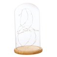 thumbnail image 1 of Lámpara de mesa de campana de cristal LED operada por batería, luces de hadas, manualidades B segundo, 1 of 9