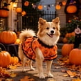 thumbnail image 6 of Aoznliie Dog Clothes, Halloween Pumpkin Lace Dress for Small Cats Dogs, S 3.3-5.5lb Cute Pet Outfit for Halloween Party & Pet Cosplay, Orange, 6 of 7