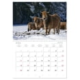 thumbnail image 5 of Grazing cattle in the Franconian Forest (Monthly Wall Calendar 2026 16.5 x 23.4 (open)), CALVENDO 14 Month Calendar, 5 of 9