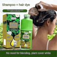 thumbnail image 2 of 1-3X 500ml Healthy Herbal Hair Dye Household Bubble Foam Hair Dye, 2 of 5