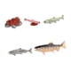 thumbnail image 3 of Ciclo de vida de juguetes de salmón, conjunto de ciclo de crecimiento Animal, herramientas de enseñanza de ciencias, figuritas de animales de granja Marrón, 3 of 8