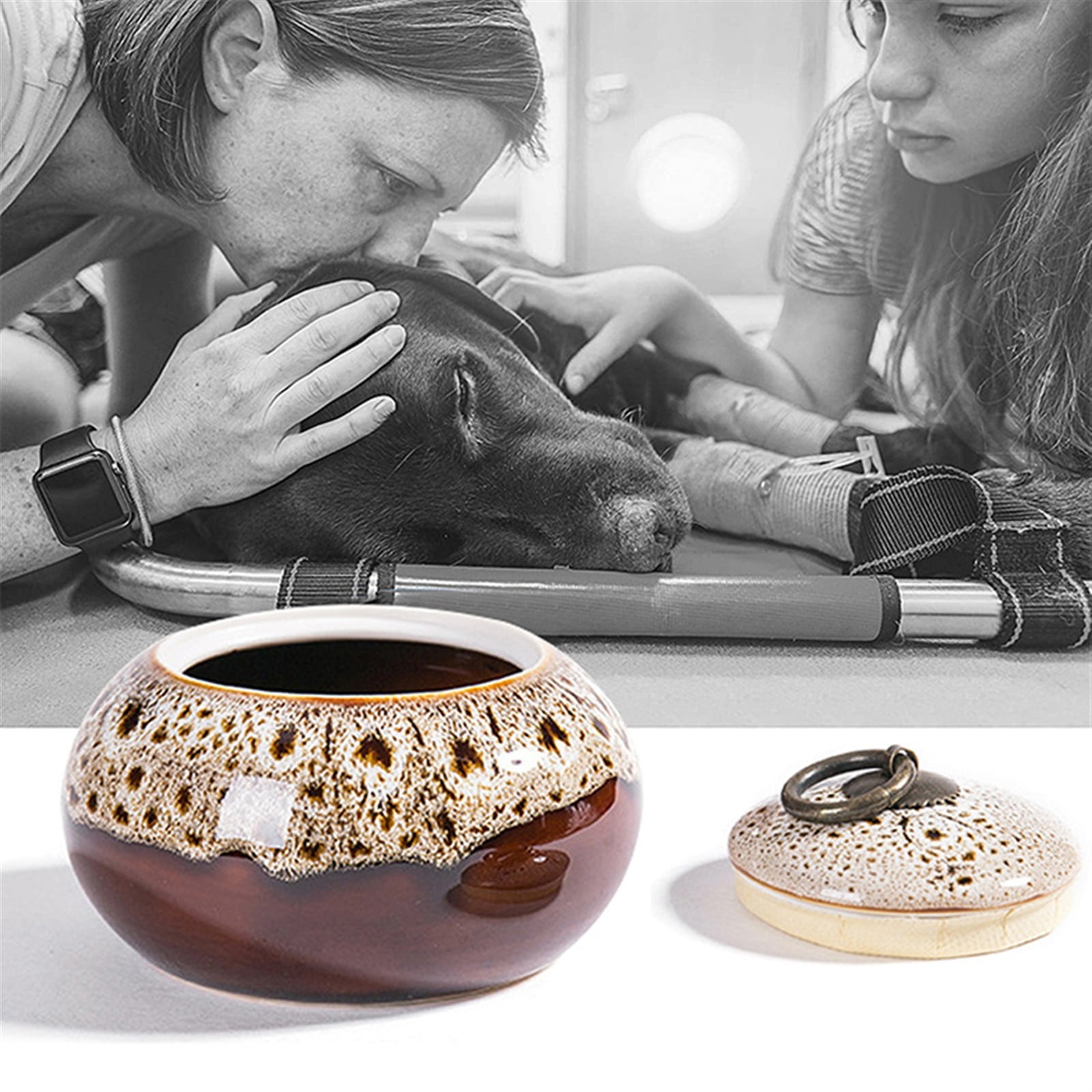For Dogs Cats Ashes Keepsake Memorial Box Funeral Set Burial Urns For Cremated Remains Ash Vial Adult Funeral Urn Pet Cat And Dog Urn 42173