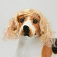 thumbnail image 6 of Funny Pet Wig Photography Prop for Cats and Dogs Made of Comfortable and Durable Material for Cute and Hilarious Looks, 6 of 8