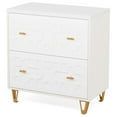 thumbnail image 3 of Topcobe 2-Drawer File Cabinet, Modern Storage Filing Cabinet Printer Stand, Modern Furniture for Indoor, 3 of 4