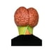 thumbnail image 3 of Máscara Caretas REV Ghoulish Productions SOLDIER MARTIAN, 3 of 3
