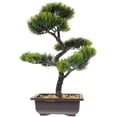 thumbnail image 1 of Miangastore Exquisite Artificial Pine Tree in ABS for Home Decor Green仿真装饰品, 1 of 8