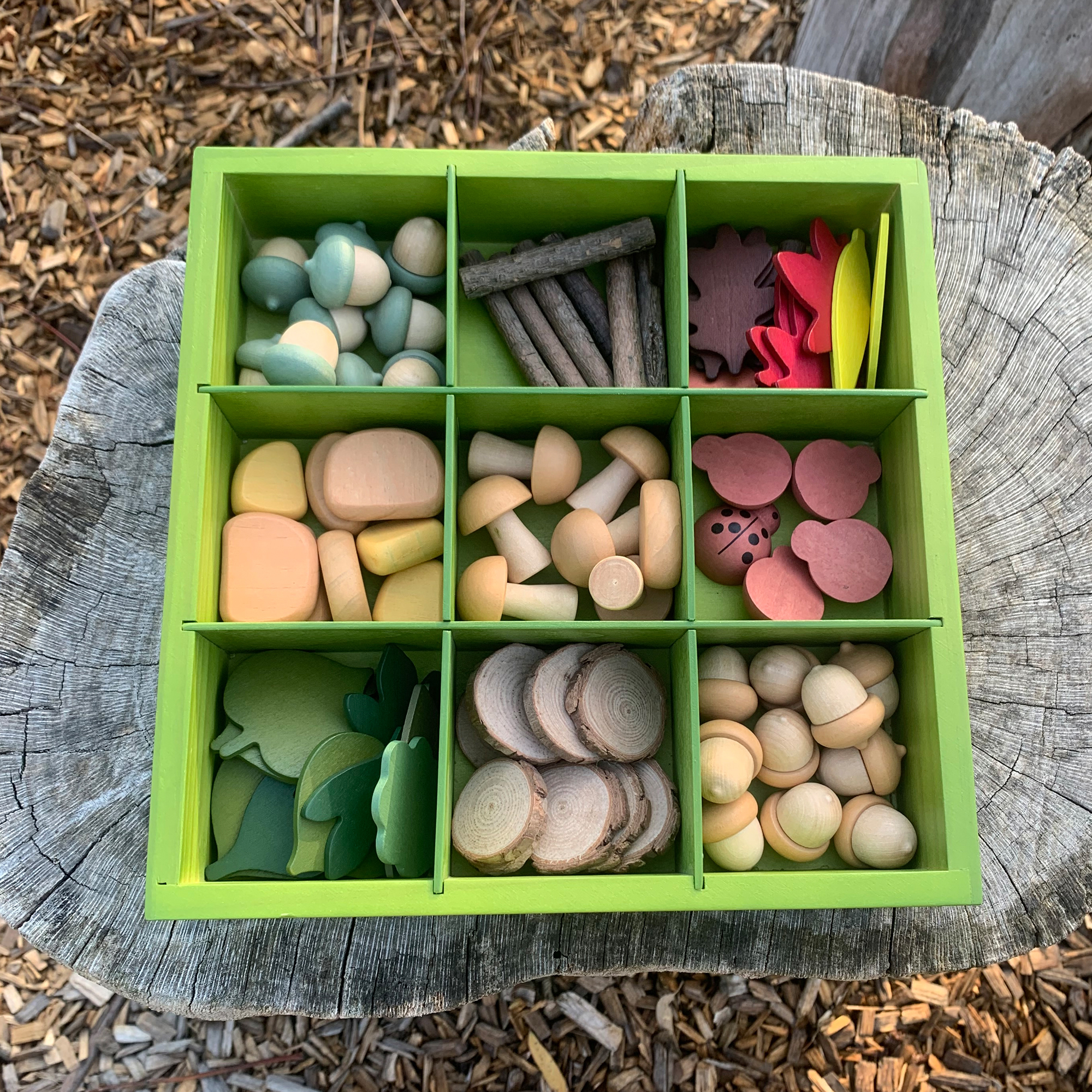 The Freckled Frog Nature's Sorting Box