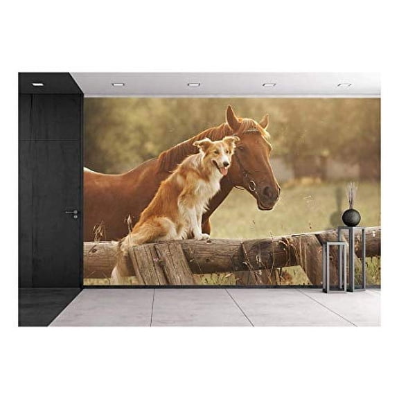 wall26 - Red Border Collie Dog and Horse Together at Sunset in Summer - Removable Wall Mural | Self-Adhesive Large Wallpaper - 100x144 inches