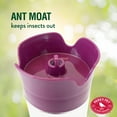 thumbnail image 5 of Perky-Pet Our Best Royal Berry Hummingbird Feeder - 30 oz Capacity, 5 of 14