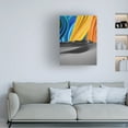 thumbnail image 2 of Canvas Wall Art - NUMA Art 'Paint Desert' Wall Art for Living Room, Bedroom, or Office Décor by Trademark Fine Art - 14 x 19 Inches, 2 of 4