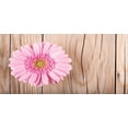 thumbnail image 4 of Rustic Piggy Bank, Large Gerbera Daisy on Oak Tree Background Dramatic South American Exotic Photo, Ceramic Coin Bank Money Box for Cash Saving, 3.6" X 3.2", Pink Brown, by Ambesonne, 4 of 4