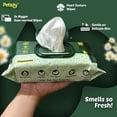 thumbnail image 2 of Petazy Pet Wipes for Dogs & Cats, 100 Count, Chamomile, Hypoallergenic Grooming & Deodorizing Wipes, 2 of 7
