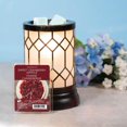 thumbnail image 3 of ScentSationals, Scented Wax Cubes - Sweet Cranberry Apple, 3 of 6