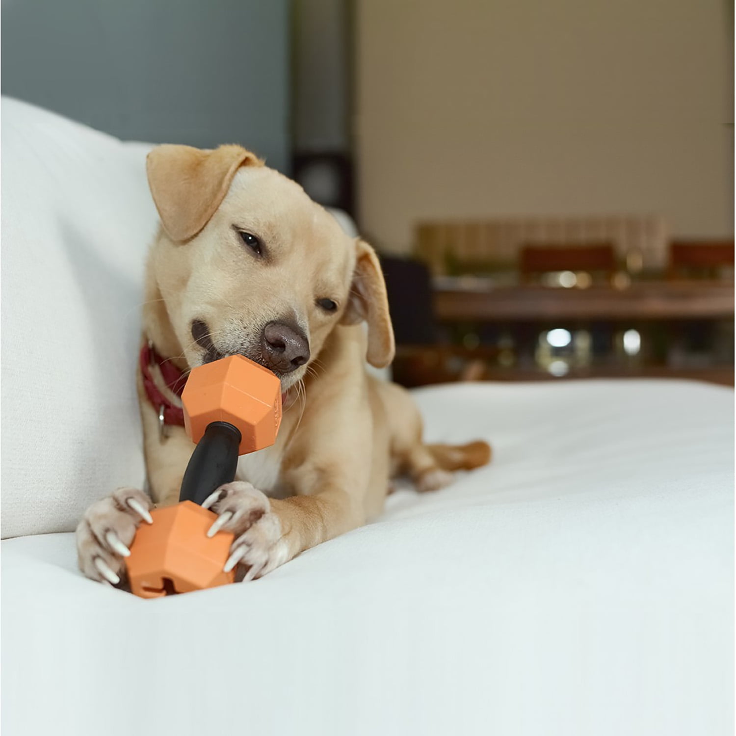 Pefilos Dog Chew Toys, Tough Puppy Teething Toys with Natural Rubber, Small and Medium Dog (Pink+Orange) Pefilos Dog Chew Toys, Tough Puppy Teething Toys with Natural Rubber, Small and Medium Dog (Pink+Orange)