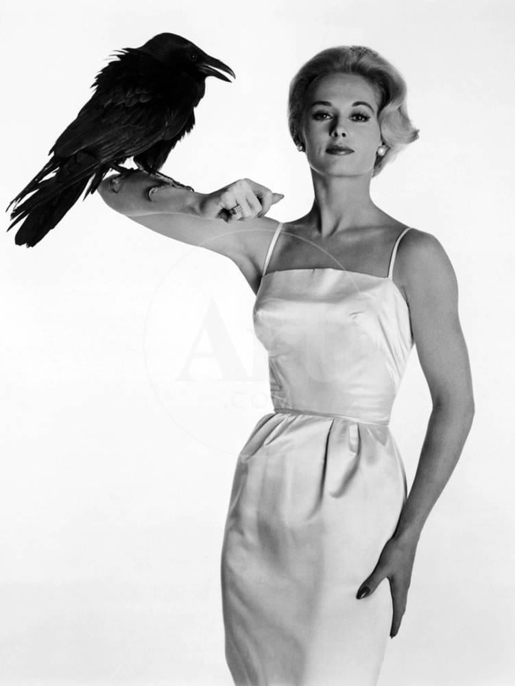 Tippi Hedren. The Birds [1963], Directed by Alfred Hitchcock. Wall Art Sold by Art.Com - Walmart.com