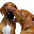 thumbnail image 2 of Pelota Kong Extreme Pequeña Para Perros Hasta 16kg Kong Pelotas, 2 of 2