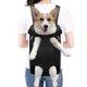 thumbnail image 1 of Mochilas para mascotas Mochilas para perros pequeños y medianos Gatos Mochilas delanteras Patas ajus Abanopi Mochila de viaje, 1 of 7