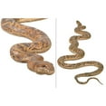 thumbnail image 3 of AFD Python Snake 99.5" Long, 3 of 10