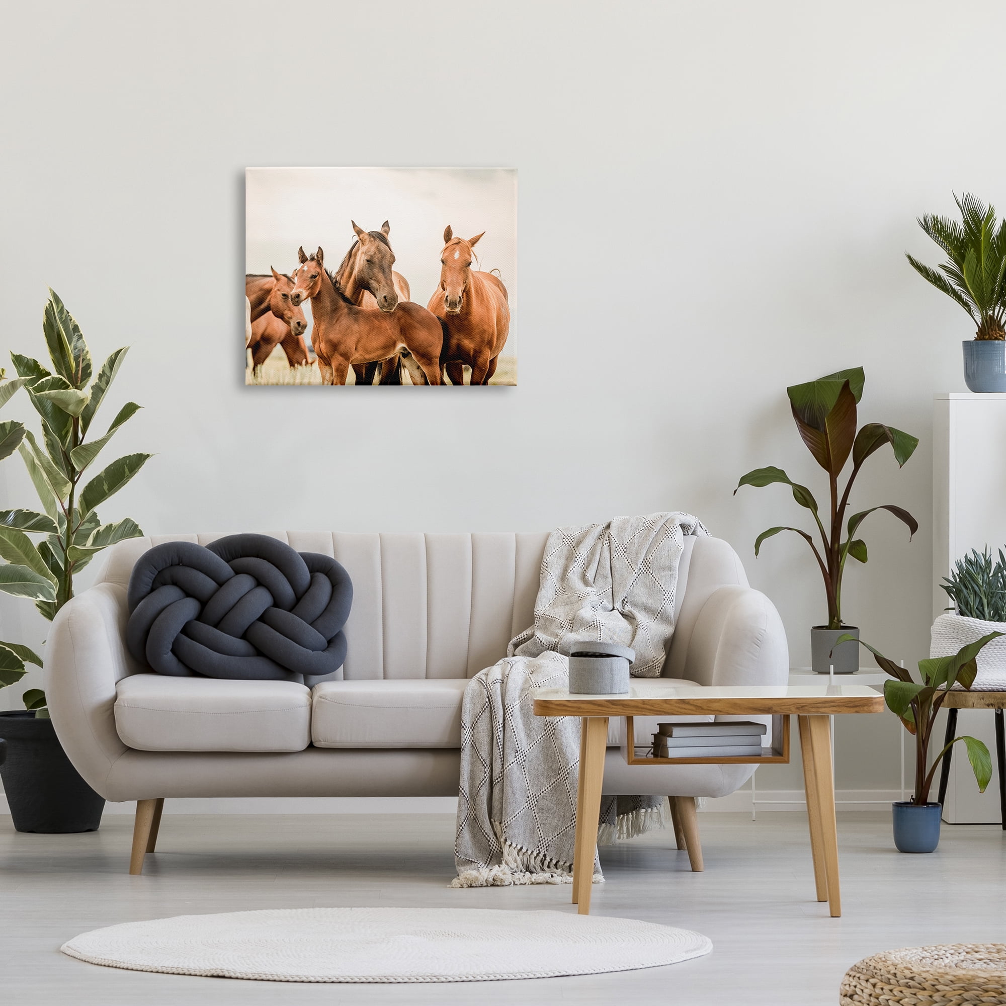 Stupell Industries Horse & Foals Photography Animals & Insects Photography Gallery Wrapped Canvas Art Print Wall Art, 30 x 24