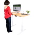thumbnail image 4 of Star Ergonomics 3 Stage Dual Motor Electric Sit-Stand Desk Frame- SE07E1FW [Tabletop Not Included], 4 of 7