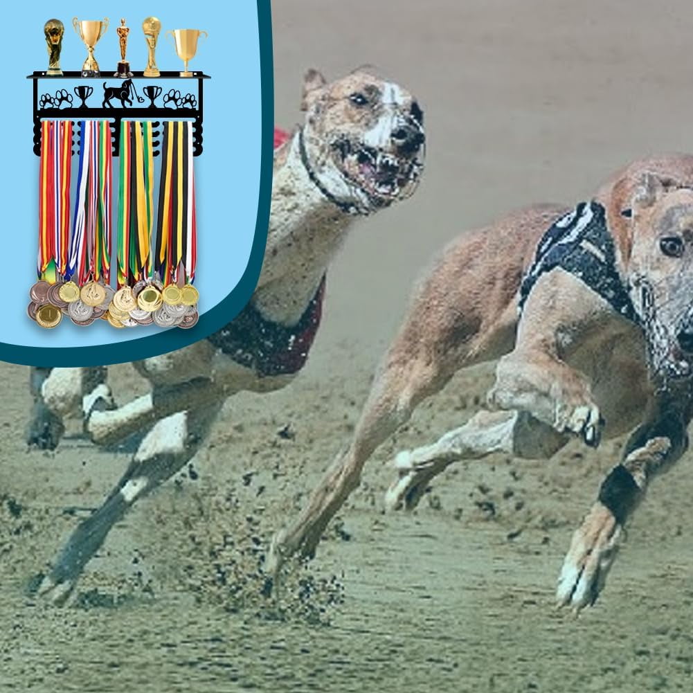 PH Dog Medal Holder Trophy Shelf Organizer Medal Hanging Display Rack Dog Competition Metal Medal Display Personalized Wall Mount Tiered Award Rack Gift for Pet 15.8x7.8inch Colorful