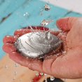 thumbnail image 1 of 2pcs Stainless Steel Cleaning Soap With Holder Shelf, 1 of 4