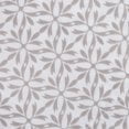 Weathered Stone Flake