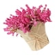 thumbnail image 5 of Lavanda artificial Gypsophila Cabezas de flores Decoración de bricolaje Rosa roja, 5 of 6