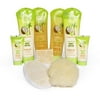 Simply Basic 9pc Coconut Bath and Body Care Set