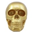 thumbnail image 3 of Pirate's Loot Gold Skull Statue Day Of The Dead Skull Head Gothic Resin Figurine, 3 of 5