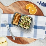 Bentgo Compartment Snack Containers Plastic 4.2 × 6.1 × 2.3 inches Silver
