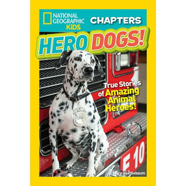 NGK Chapters: Hero Dogs! : True Stories of Amazing Animal Heroes!  (Paperback) 