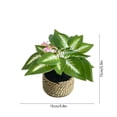 thumbnail image 3 of Faux Potted Plant in Woven Straw Basket – Assorted Leaf Styles Mini Artificial Greenery for Home Office Shelf Tabletop, 3 of 6